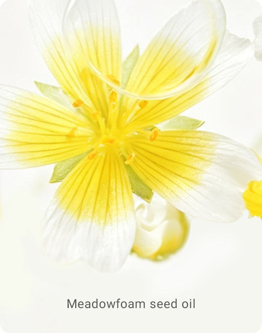 Meadowfoam seed oil