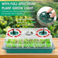 🔥40% discount while stocks last!🎉Seed starter trays with grow light