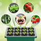🔥40% discount while stocks last!🎉Seed starter trays with grow light