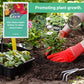 💥Slow-Release Organic Fertilizer In Stick Form For Plants