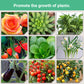 💥Slow-Release Organic Fertilizer In Stick Form For Plants