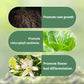 💥Slow-Release Organic Fertilizer In Stick Form For Plants
