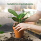 💥Slow-Release Organic Fertilizer In Stick Form For Plants
