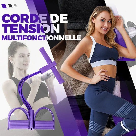 ✨Sit-Up Training Equipment