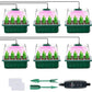 🔥40% discount while stocks last!🎉Seed starter trays with grow light