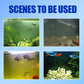 Sterilizing & Cleaning Water Purifier for Fish Tank
