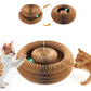 Magic Organ Cat Scratching Board - With Toy Bell Ball