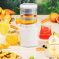 Portable Press Juicer Machine