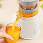 Portable Press Juicer Machine