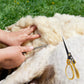 Handmade Wool Shearing Scissors with Spring Design