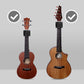 Ukulele Chord Trainer with Smart Fingering Buttons