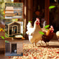 Multipurpose Powerful Chicken Coop Deodorizer