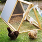 Multipurpose Powerful Chicken Coop Deodorizer