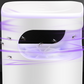 ✨Summer Sale - 50% Off🔇🦟UV Fly Trap with Clear Collection Bo