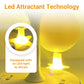 Sticky Fruit Fly Trap Ball with Stand & LED