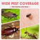 🔥2025 Hot Sale |Indoor Fipronil Pest Control Spray. Plant-based insect repellent, natural and odorless