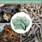 AUTOMATIC FOLDABLE STRENGTHENED FISHCATCHER
