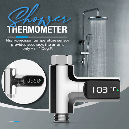 Shower thermometer