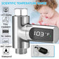 Shower thermometer