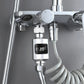 Shower thermometer