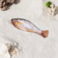 🎄2026 Hot Sale – 50% OFF! 🐟 Your cat will love this jumping fish!