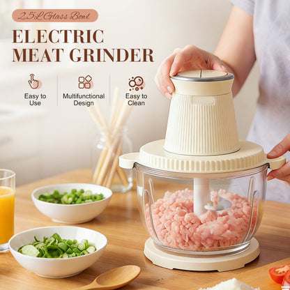 Electric Meat Grinder with 2.5L Glass Bowl