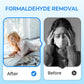 🔥Anti-formaldehyde air purifier for the hom