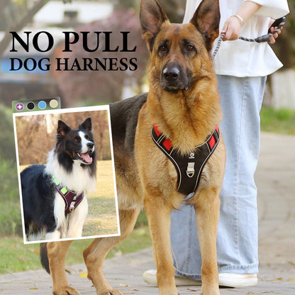 Walk Your Dog Instantly! Adjustable Front-Clip Dog Harness