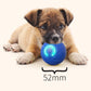 🐾 50% OFF NOW! 🎾 Interactive Bouncing Ball for Dogs – Durable, self-rolling & engaging – Keeps your pup active & entertained 🐶