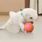 🐾 50% OFF NOW! 🎾 Interactive Bouncing Ball for Dogs – Durable, self-rolling & engaging – Keeps your pup active & entertained 🐶
