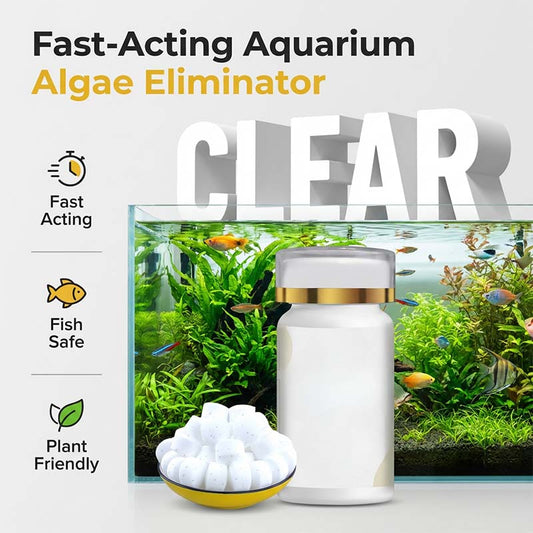 🎁⏰Aquarium Green Water & Moss Eliminator