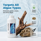 ⏰🔥LAST DAY SALE 50% OFF! 🐠 Rapid Action Algae Remover for Aquariums – Safe, Fast & Easy to Use 💦✨