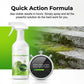 Outdoor Moss & Algae Remover Spray