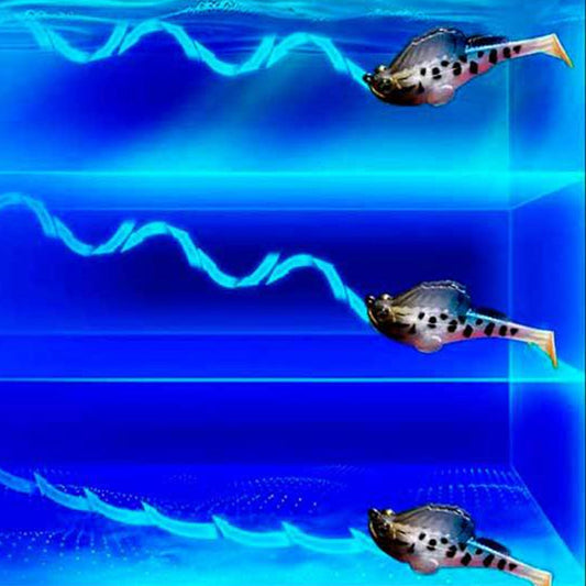 5-Piece T-Tail Soft Lure Set with Box