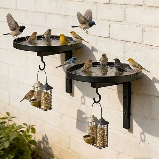 Wall-Mounted Metal Bird Bath Basin
