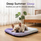 🥳2026 HOT SALE🥳💞50K+ SOLD!🐶❄️ 50% OFF! Cooling Gel Mat for Pets – No refrigeration needed, instant heat relief. Breathable, non‑toxic. Helps pets sleep cool all summer! 🌿✨