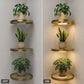 ✨Floating Wall Shelf with Built-in Ambient LED Light