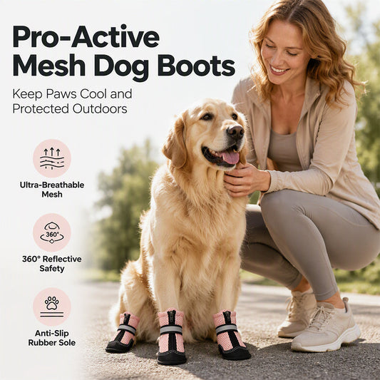 Breathable Mesh Dog Shoes with Reflective Details