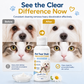 🎉Limited‑Time 49% OFF 🐶🐱Pet Tear Stain Remover Cream