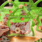 ❄️🎅Early Christmas Sale 49% OFF!!☃️🎄Christmas Treat Bags, Kids Xmas Sealable Bags With Handle 10 PCS❄️