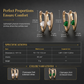 Classic & Elegant V Shaped Earrings for Women
